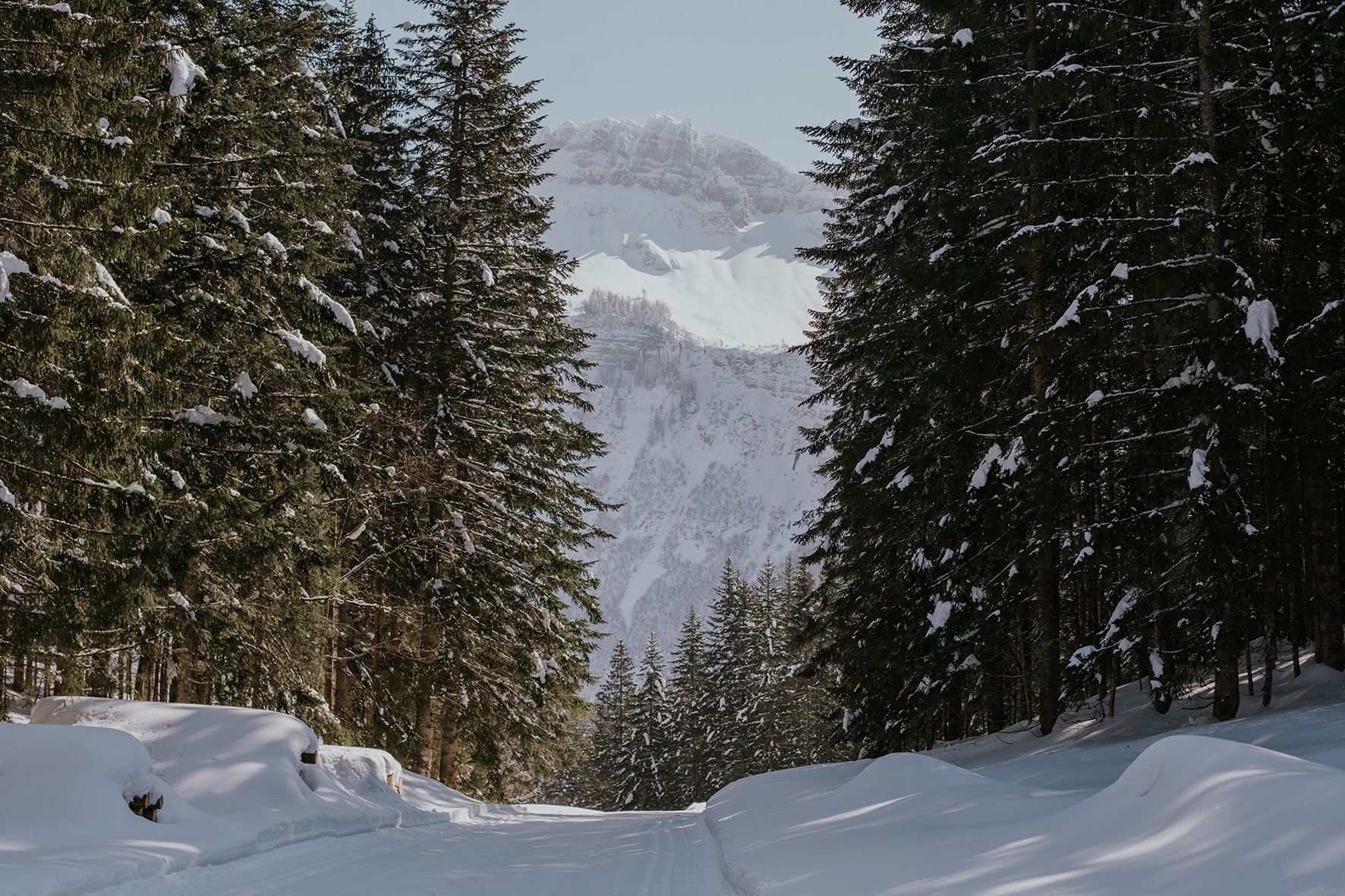 Langlaufloipe im Wald mit Blick auf die Berge