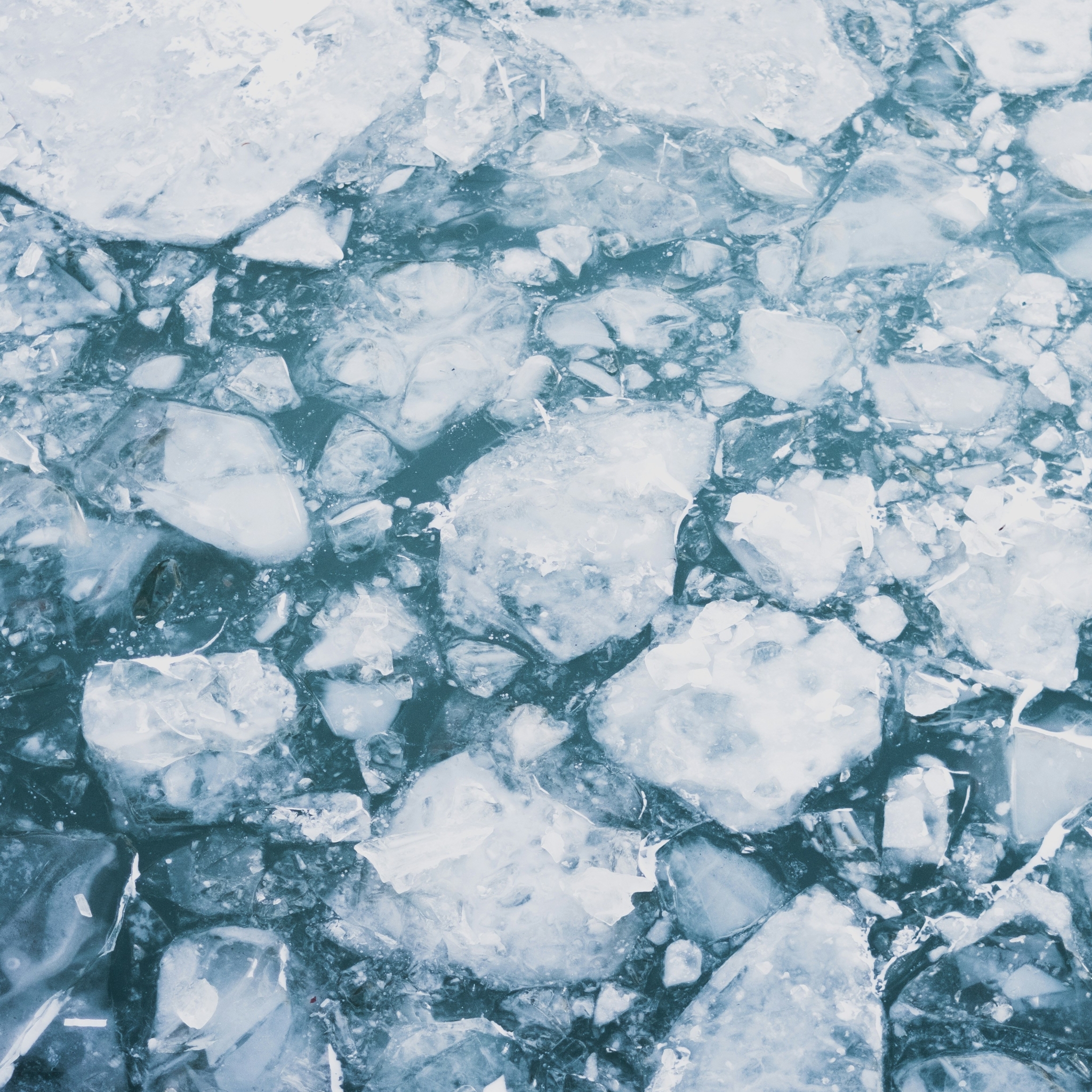 bryan-rodriguez-bckduv5hflc-unsplash